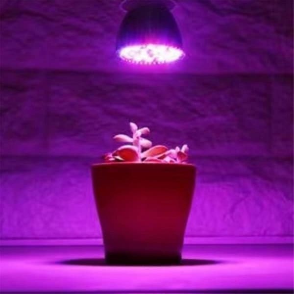 2 stk. E14 Plantelys 85-265V Fuld-spektrum LED Plantelys til Hydroponisk Indendørs Have Grøn-FX-