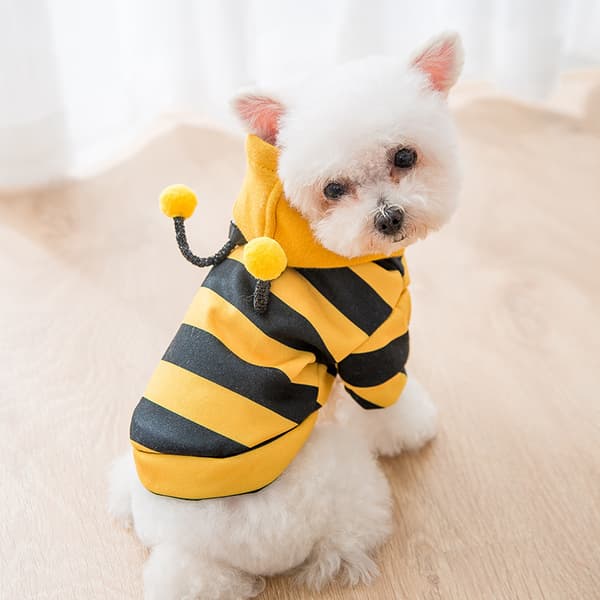 Dog Sweaters, Cat Clothes, Cute Pet Clothes, Warm Sweaters for Small and Medium Pets (S, Yellow Stripes) -FX-