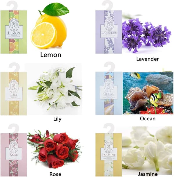Scented Sachets, 6-pack, Natural Moth Repellent, Lavender Sachets, Hanging Wardrobe Freshener-FX-
