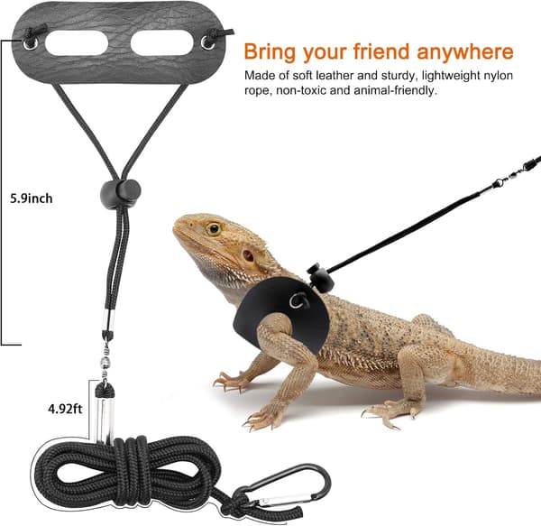 Bearded Dragon Harness & Leash 2-Pack - Adjustable Reptile Vest with Secure Straps for Lizards, Amphibians & Small Pets (S/M/L)-FX-