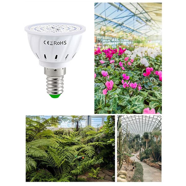 E14 Fuld Spektrum LED Vækstpærer - 8-pak til Indendørs Planter & Hydroponik-FX-