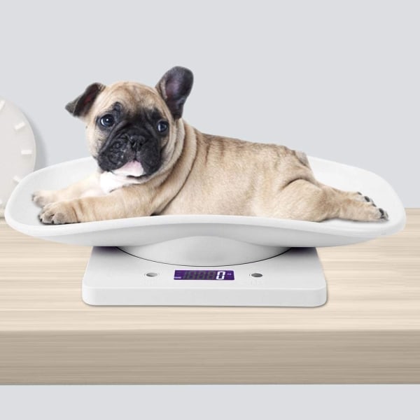 IC 10kg/1g digital våg för smådjur för noggrann mätning