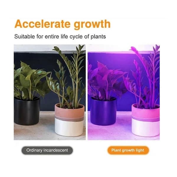 2 stk. E14 Plantelys 85-265V Fuld-spektrum LED Plantelys til Hydroponisk Indendørs Have Grøn-FX-