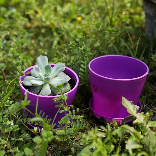 10-pak sorte harpiks urtepotter med bakke til indendørs planter, 14x12cm