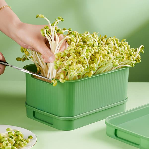 Sprouting Kit for Seeds with Drainage Holes and Drainage Tray, Upgraded Stackable Tray for Microgreens, Fresh Organic Bean Sprouts-FX- 1pc