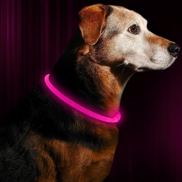 Uppladdningsbart LED-halsband för Hundar Röd