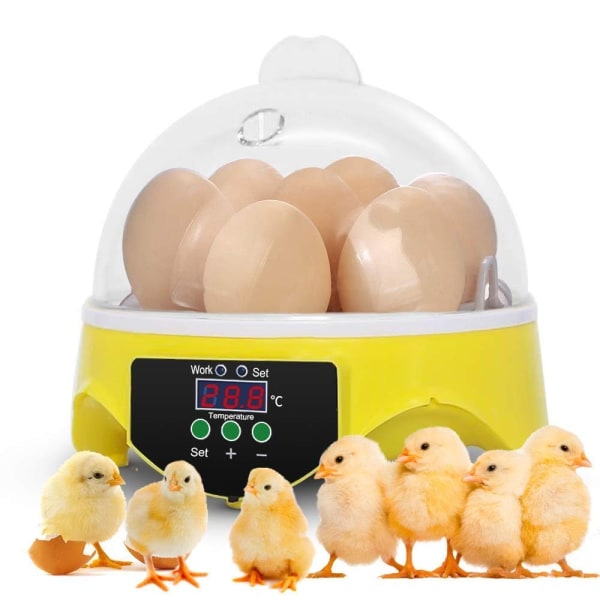 Äggkläckningsmaskin 7 ägg med Ägglampa