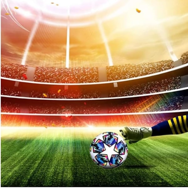 Fodbold Champions League-bold 2024 - Fodboldfansartikel - Fodboldelskeres fødselsdagsgave - Normal bold nr. 5 (nedsat pris) blue
