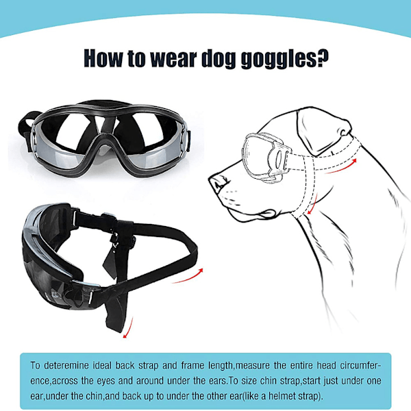 Hundeglas Solbriller Beskyttelsesbriller sort black