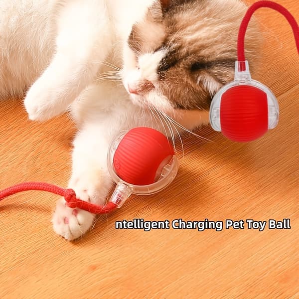 USB genopladelig interaktiv kæledyrsbold med lang hale til katte og hunde