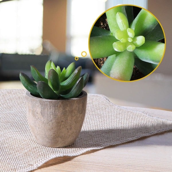 3 stk. Kunstige Sukkulenter/Kunstig Kaktus/Simuleret Kaktus Potteplanter Hjem Bonsai Dekoration Havegrønt