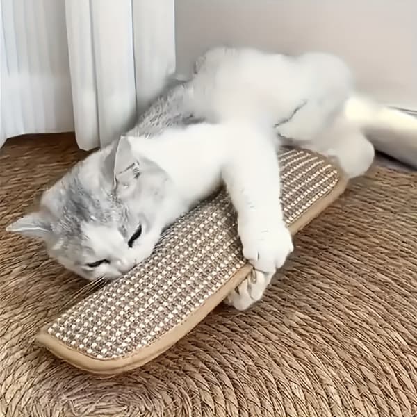 Interaktiv Kattelegetøjspude og Kradsebræt til Sololeg og Samvær Lg Cat Paw Pill 2pcs