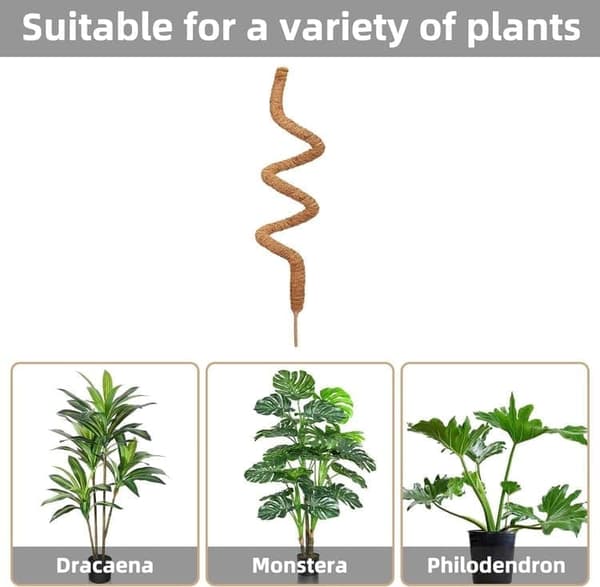 Flexibel mossstång för klätterväxter som murgröna och Monstera 1-pack