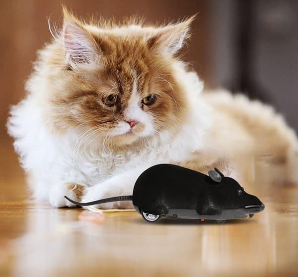 Remote Control Mouse Cat Toy, Interactive Moving Cat Toys Wireless Electronic RC Rat Mice Pet Toys