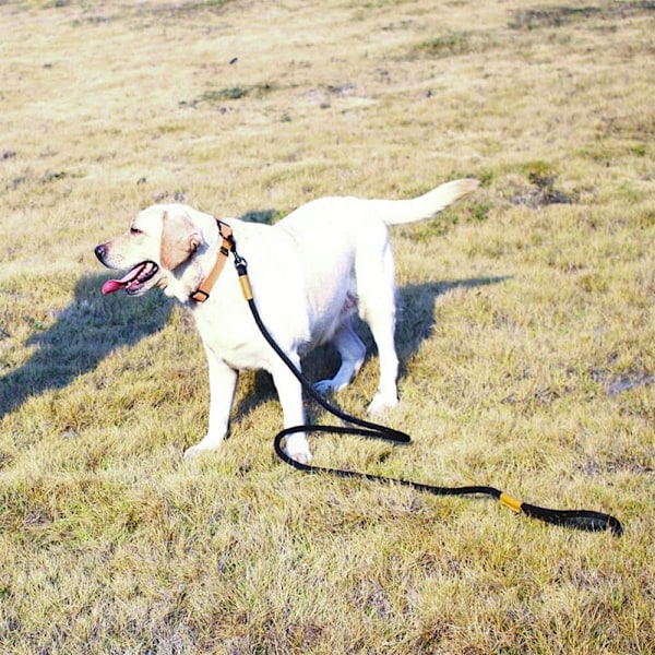 6FT Hundkoppel Starkt Rep Hundkoppel GRÅ grey