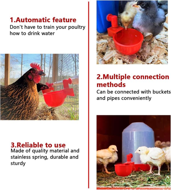 6-piece Automatic Chicken Water Cup Set, Including Cups and Bowls; Automatic Water Dispenser, Plastic