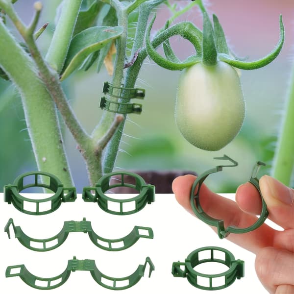 Plastpinnar för tomater, vinrankor och grönsaker - 100-pack 100 st stora gräsgröna