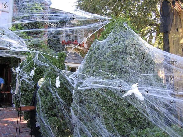 Halloween-spindelvevsdekorasjon med falske edderkopper for fest og hjem
