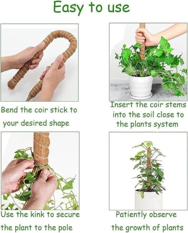 Flexibel mossstång för klätterväxter som murgröna och Monstera 1-pack