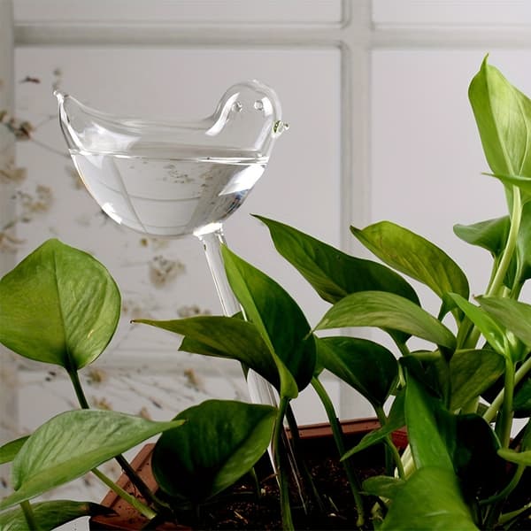 5-pack självbevattningsglober för krukväxter och bonsai 5pcs