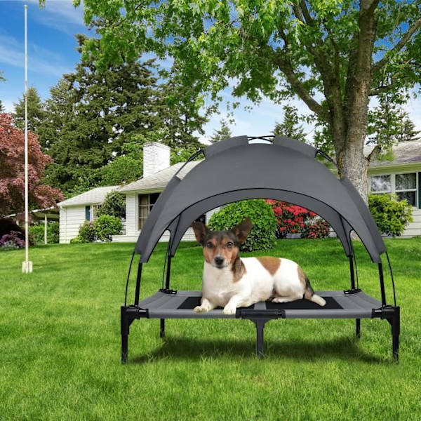 XMTECH Hundkattsäng med baldakin, husdjurssäng, upphöjd kattsäng för medelstora hundar Kapacitet 50 kg, 92x76x92 cm, grå Grå