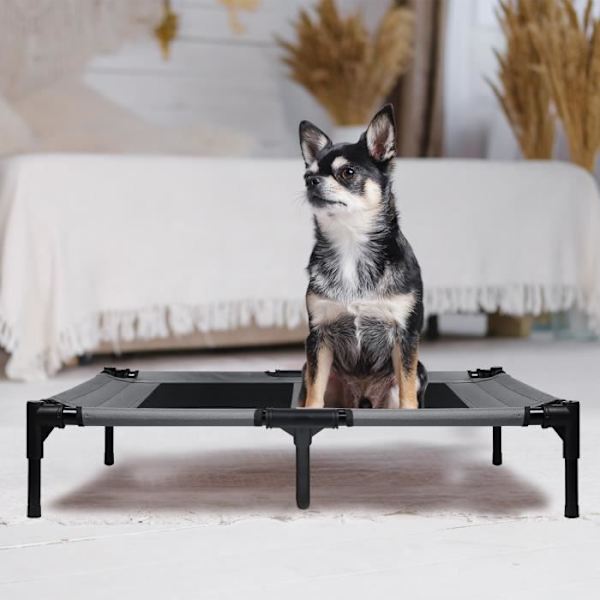 XMTECH Hundkattsäng med baldakin, husdjurssäng, upphöjd kattsäng för medelstora hundar Kapacitet 50 kg, 92x76x92 cm, grå Grå
