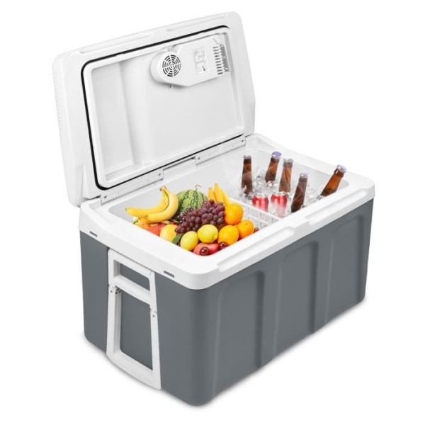 UISEBRT 48L bärbart kylskåp värmer och kyler dryckeslåda för BBQ-båt Husbil Mini Elektrisk kylare (grå)