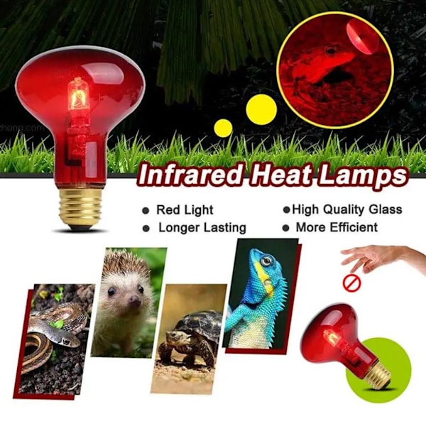 Infraröd Solar Basking Spot Reptil Värmelampa (E27) Terrarielampa♤ Wine redB 40W