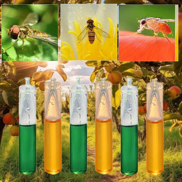 10 st Fruktfluga Attraktant 2ml Fälla Bete Biodling Dödar Biekupa Svarm D5I9 yellow onesize