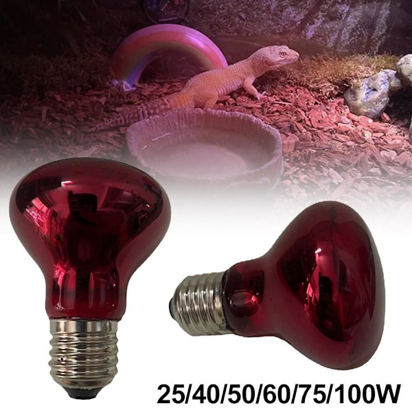 Infraröd Solar Basking Spot Reptil Värmelampa (E27) Terrarielampa♤ Wine redD 60W