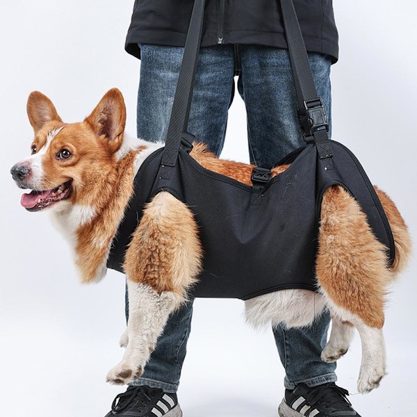 Bekväm hundsele för hundbensstöd Lyfthjälp för skadade äldre D Q8J4 BlackD XL