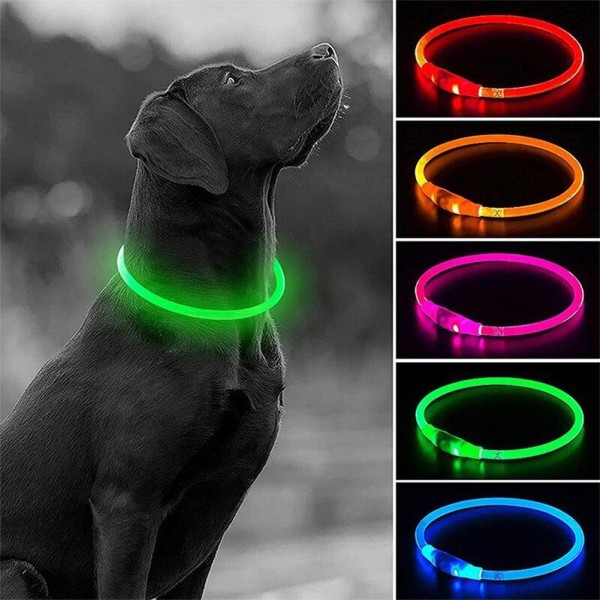 LED Hund Ljushalsband Husdjurstillbehör USB Uppladdningsbar Outdoor Walk blue 50CM