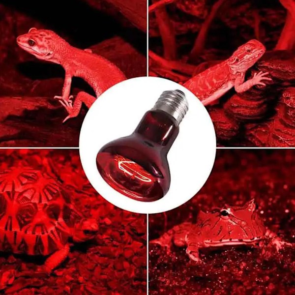 Infraröd Solar Basking Spot Reptil Värmelampa (E27) Terrarielampa♤ Wine redC 50W