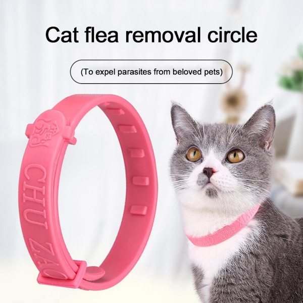Avmaskningshalsband för husdjur, justerbart halsband för hund, katt, kattunge, 8 månaders skydd Z4 for cat 1pcs