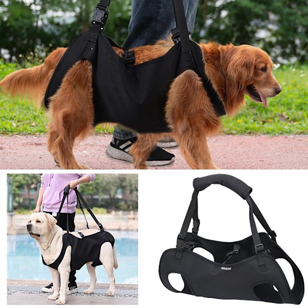 Bekväm hundsele för hundbensstöd Lyfthjälp för skadade äldre D Q8J4 BlackD XL
