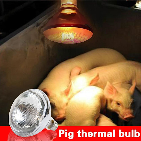 INFRARÖD VÄRMELAMPA 250W Fjäderfä Kyckling Värmelampa Lamm Boskap F0G7 C 1pcs