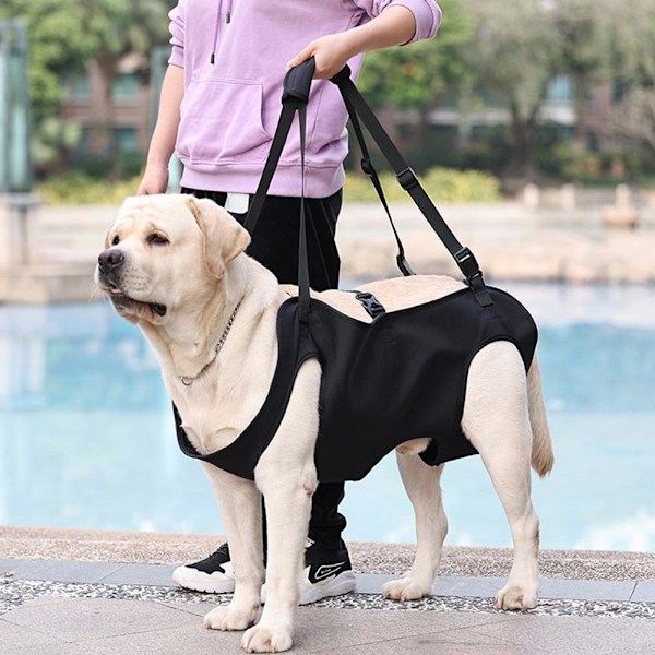 Bekväm hundsele för hundbensstöd Lyfthjälp för skadade äldre D Q8J4 BlackD XL