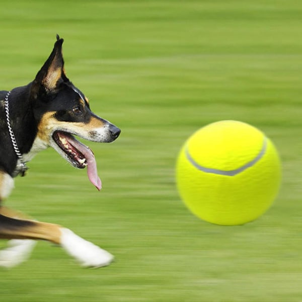 Stor husdjurshund Tennisbollskastare Chucker Launcher Leksak 9,5" 9.5" one-size