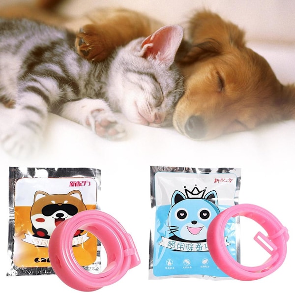 Avmaskningshalsband för husdjur, justerbart halsband för hund, katt, kattunge, 8 månaders skydd Z4 for cat 1pcs