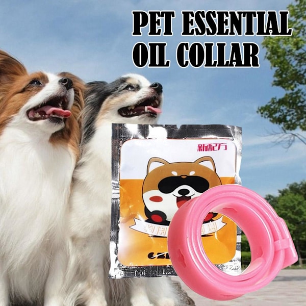 Avmaskningshalsband för husdjur, justerbart halsband för hund, katt, kattunge, 8 månaders skydd Z4 for cat 1pcs