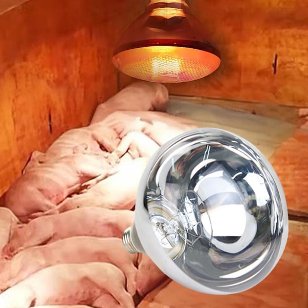 INFRARÖD VÄRMELAMPA 250W Fjäderfä Kyckling Värmelampa Lamm Boskap F0G7 C 1pcs