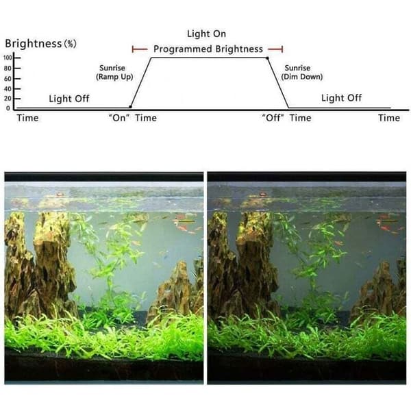 Akvarium LED lysdæmper, 12-24V kompatibel, lysstyrke/tidsstyring, solopgangseffekt, timerfunktion.