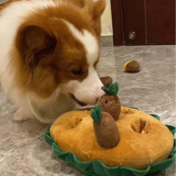 Hundleksak, Snuffle Mat för hundar Plysch Pussel Leksaker Interaktiva Valpleksaker med 6 morötter, Hund Berikning Slick Leksaker för små medelstora hundar