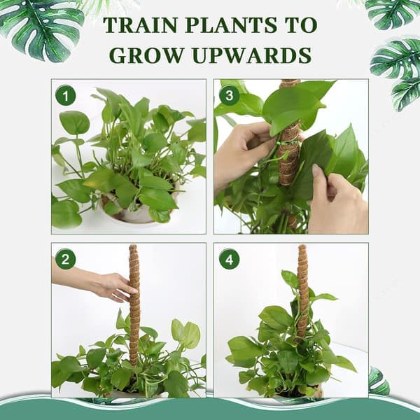 4-pack Trädgårdsstöd för Monstera deliciosa, Klätterramar, Böjbara Formbara Mossstöd, Pothos och Klätterväxter