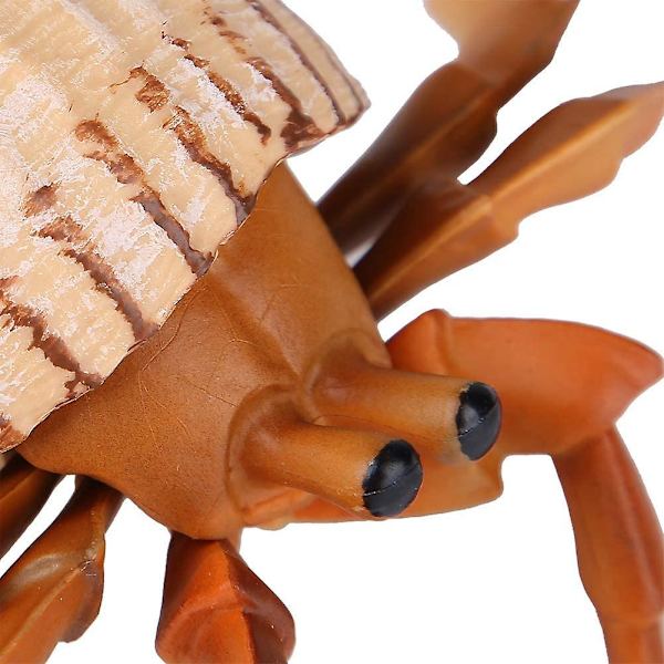 Eremitkrebs Marine Life Model Legetøj Børns Sikkerhedsuddannelse Rekvisitter 1 Stykker(yu-1)