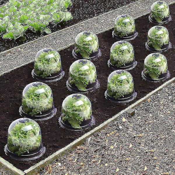 Salatklokke X12 Beskyttende Drivhus Til Planter-aleko