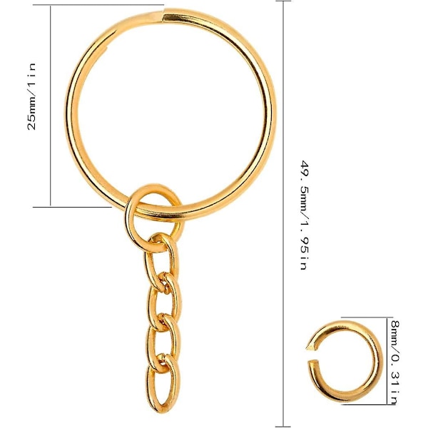 100 kappaleen pakkaus 25 mm avainrengas ketjulla Avaimenperät halkeavilla renkailla avaimille, askarteluun, korujen valmistukseen, ruostumaton metalli (hopea) Golden