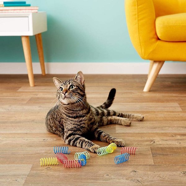 Bred färgglad fjäderleksak för katt