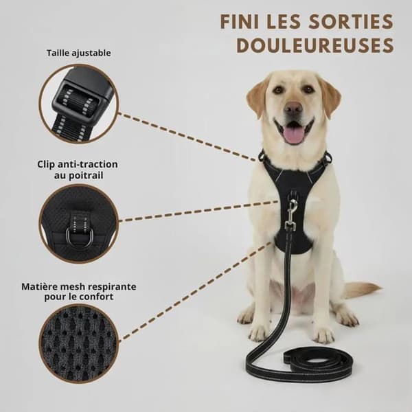 Blå \"No-Pull\" Reflex Hundsele – Justerbar Väst (Storlek XL) – Frontfäste – Koppelkrok Ingår (1.5m)
