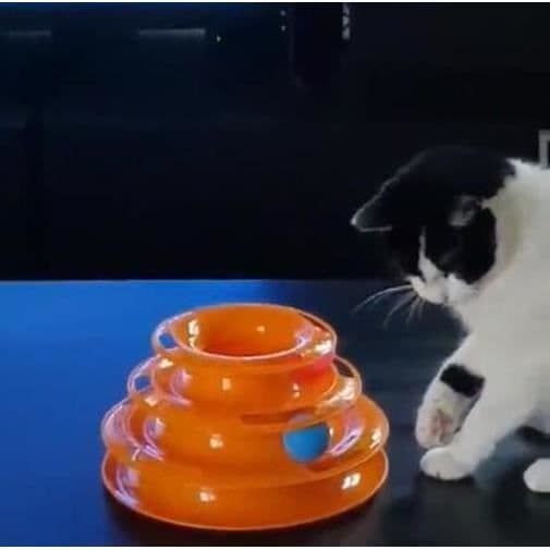 1 bold labyrintlegetøj, 3 lag plastik til katte, hunde og andre kæledyr